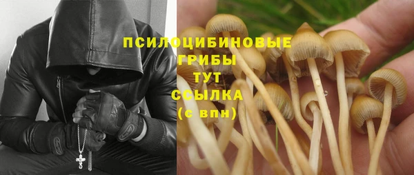 шишки Алексеевка